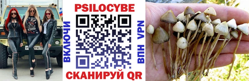 Галлюциногенные грибы мухоморы  закладки  Ялуторовск 